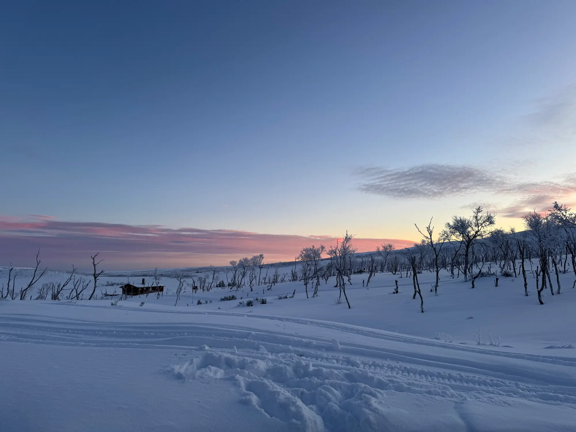 Varangerhalvøya nasjonalpark