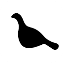 point north hostel logo